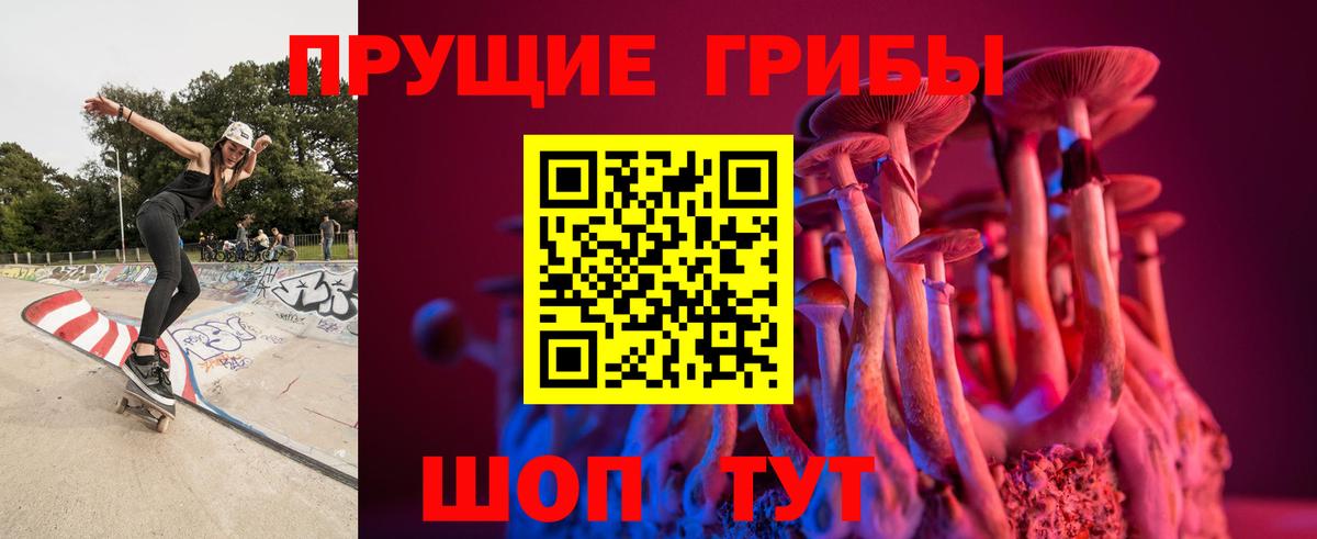 Дальнегорск  Галлюциногенные грибы MAGIC MUSHROOMS  Псилоцибиновые грибы ЛСД  Вход с VPN 